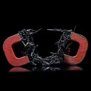 red alnico horseshoe magnets