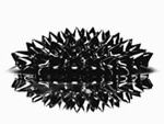 Ferrofluid for Magnetic Domain Visualization